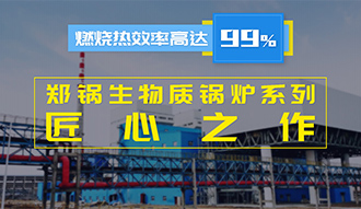 【生物质·匠心】燃烧效率高达99%？？？？？？？？环球国际生物质锅炉系列是怎样的匠心之作