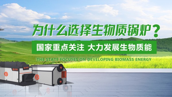 环球国际生物质锅炉：绿色发展的“时代之选”