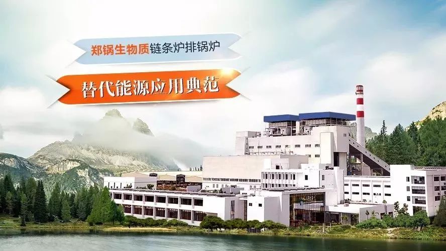 环球国际领衔编制行业技术标准，，，，，，，首次统一生物质链条炉排锅炉技术条件！