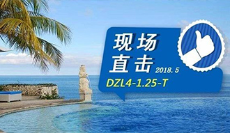 现场直击丨看生物质锅炉在巴厘岛如何强操作，，，，，，，回头客非它不选