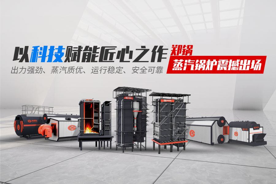 环球国际蒸汽锅炉