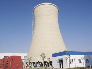 环球国际中标斯里兰卡15MW生物质发电项目