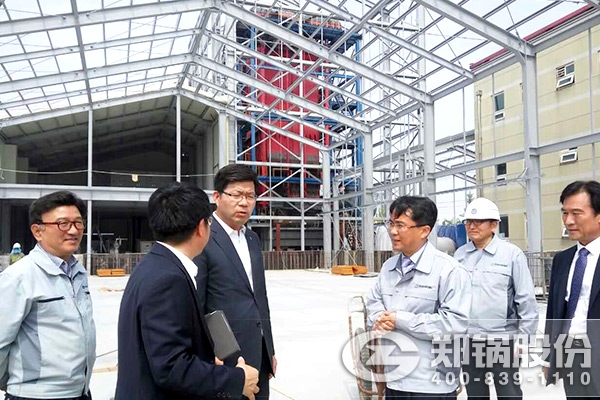 韩国平泽市市长视察环球国际30T生物质锅炉现场