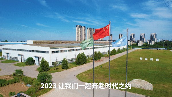 环球国际股份.jpg