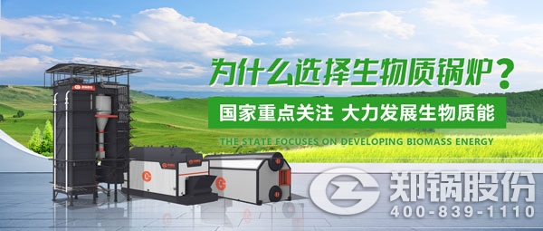 环球国际生物质锅炉.jpg