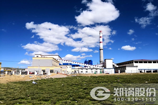 环球国际股份30吨角管式生物质蒸汽锅炉
