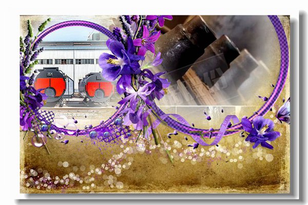 蒸气节能锅炉报价找哪家更专业？？？？？？