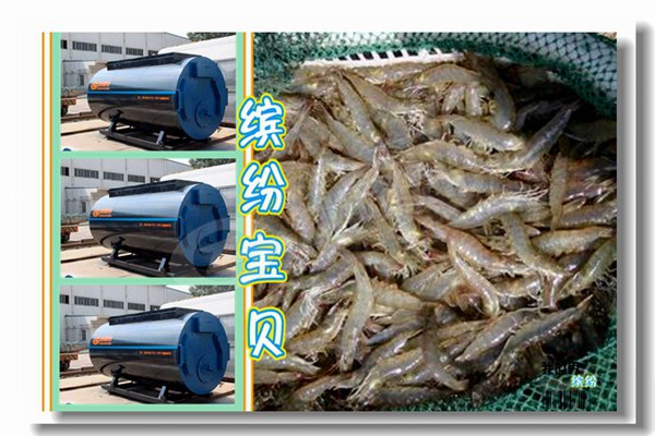 恩施燃气蒸汽锅炉多少钱？？？？？